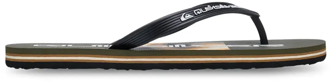 Quiksilver Molokai Stripe 26 Slippers Zwart EU 43 Man
