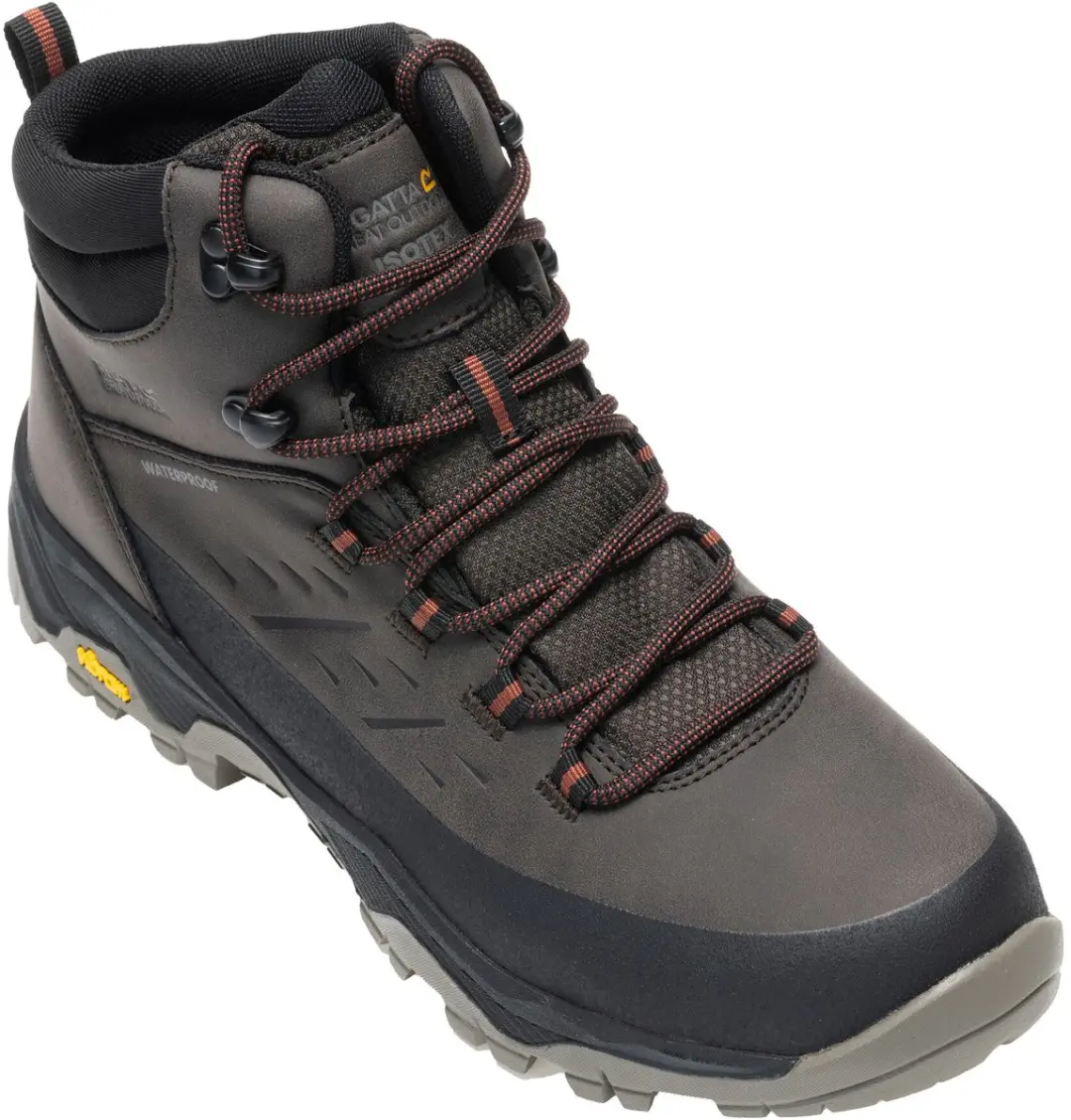 Regatta Blake RMF900 Wandelschoenen - Bruin