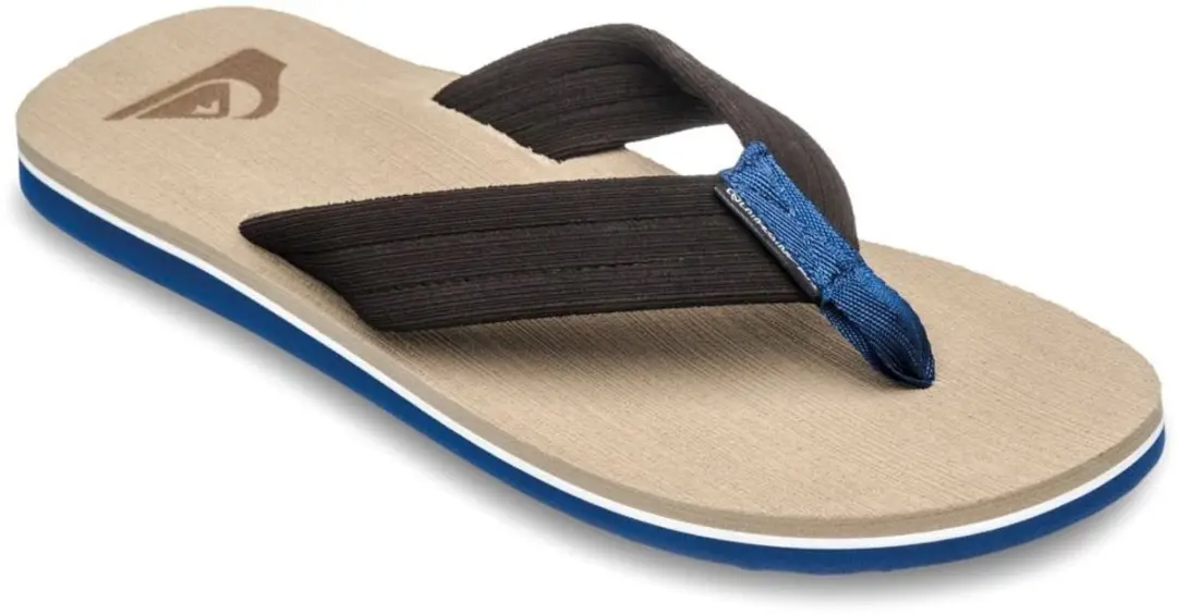 Quiksilver Molokai Layback Teenslippers Heren