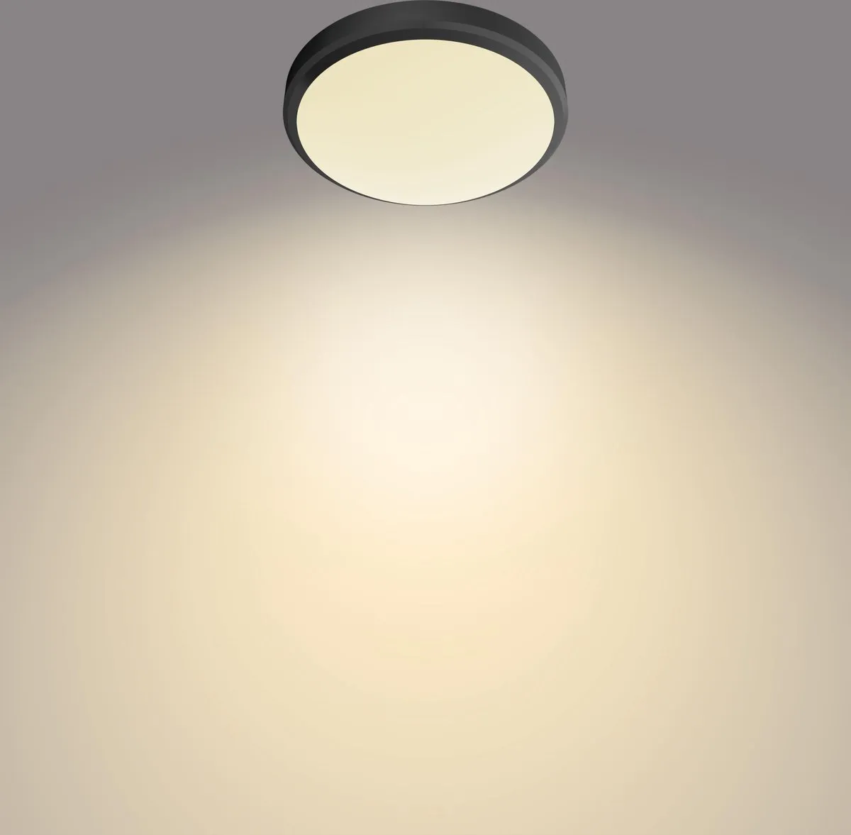 Philips Doris Plafondlamp 6W - Zwart