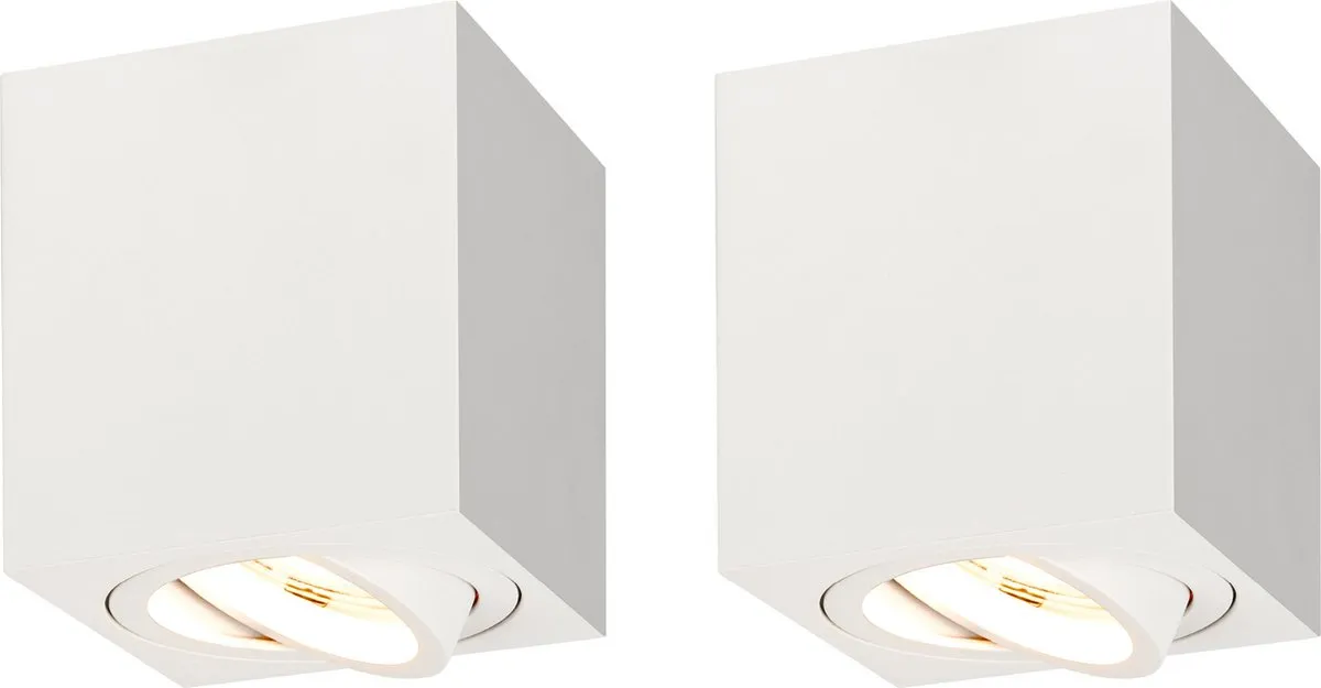 Ledvion 2X LED Opbouwspots Dimbaar 3W 2700K