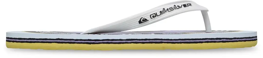 Quiksilver Molokai Screen Slippers Wit EU 41 Man