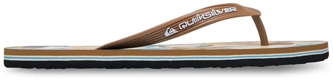 Quiksilver Molokai Art 26 Slippers Bruin EU 44 Man