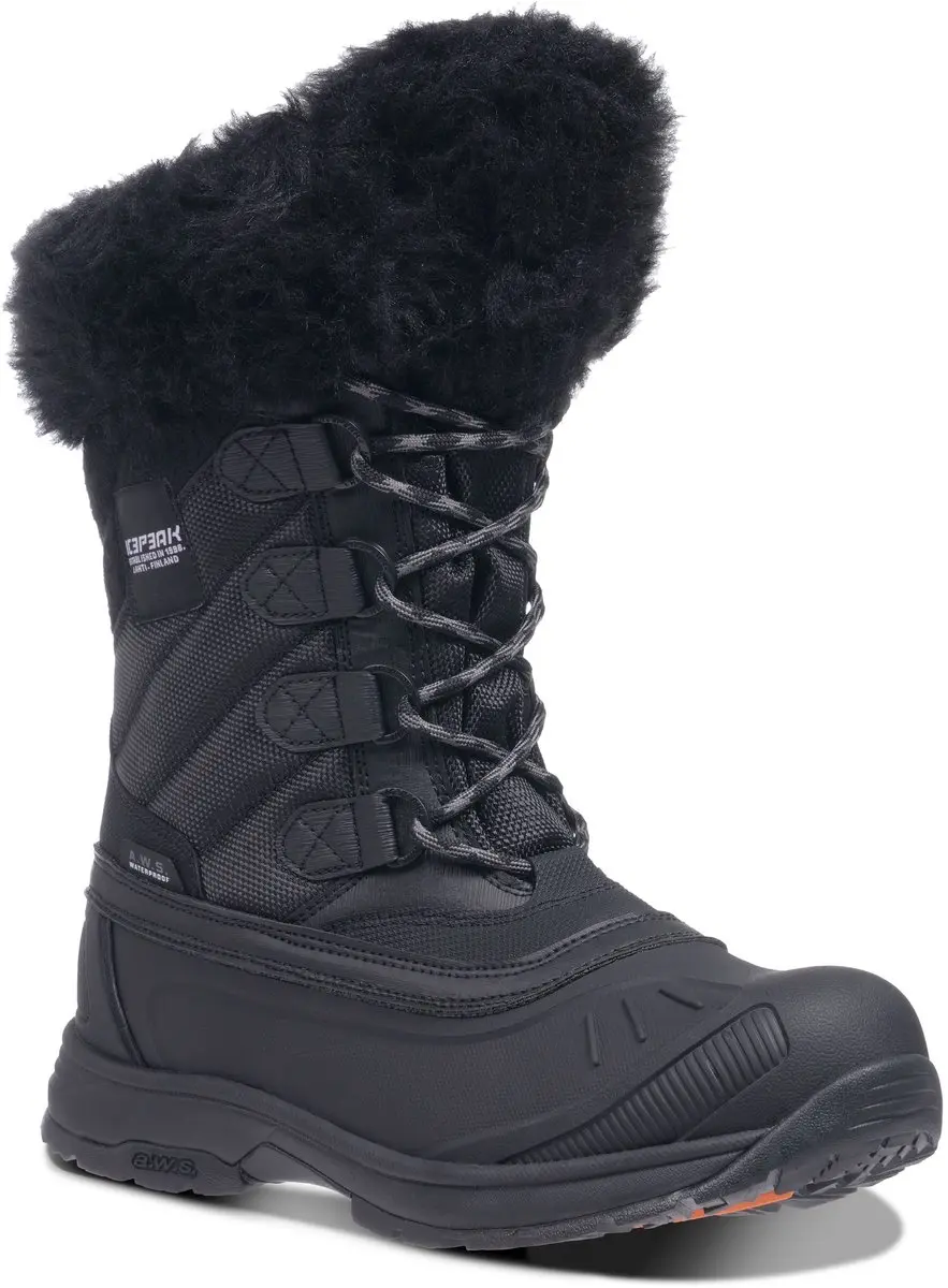 ICEPEAK