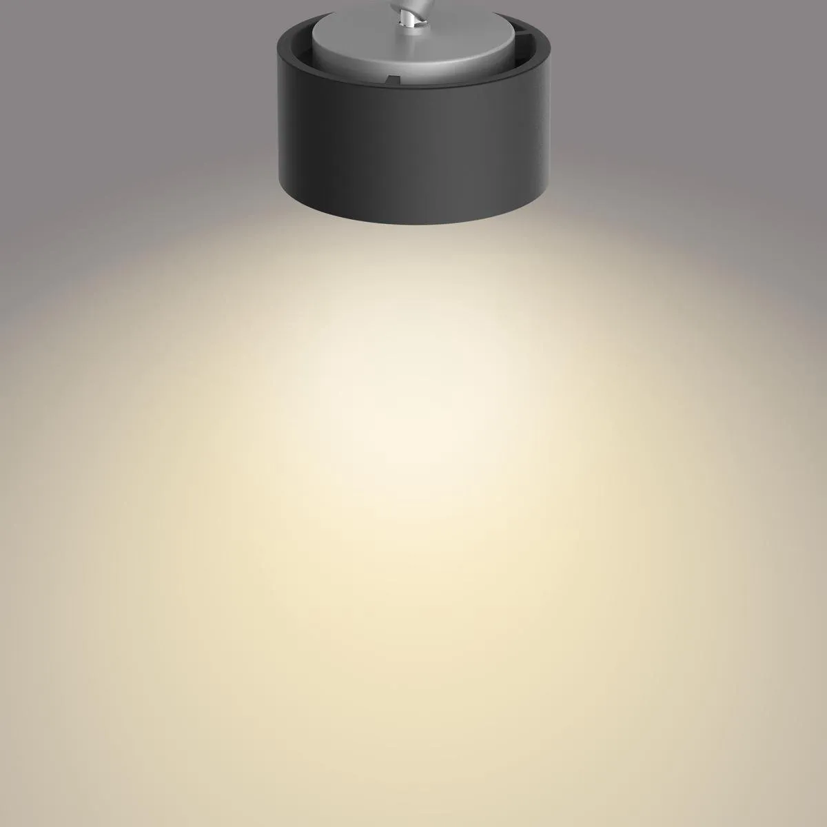 Philips FERANO LED Spot 2x4.3W 24V - Zwart