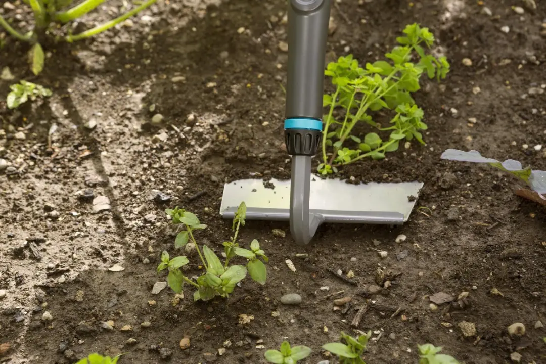 Gardena PureLine Onkruidhak - afbeelding 5 van 6