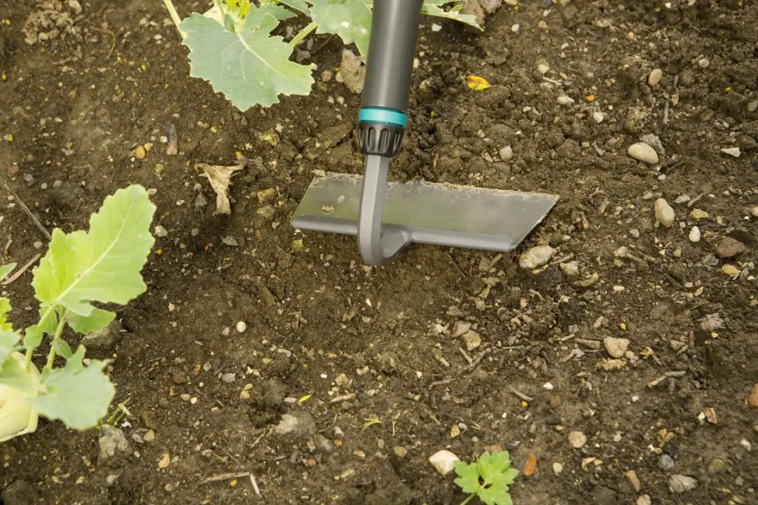 Gardena PureLine Onkruidhak - afbeelding 4 van 6