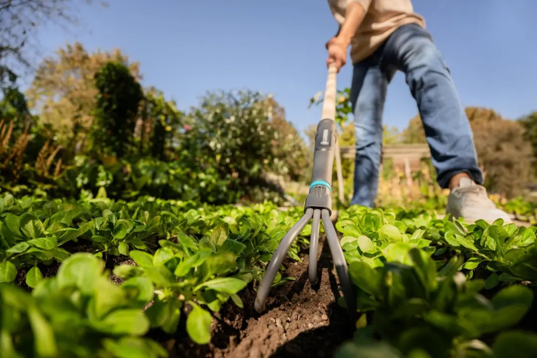 Gardena PureLine Krabber FSC® 100% - afbeelding 2 van 4