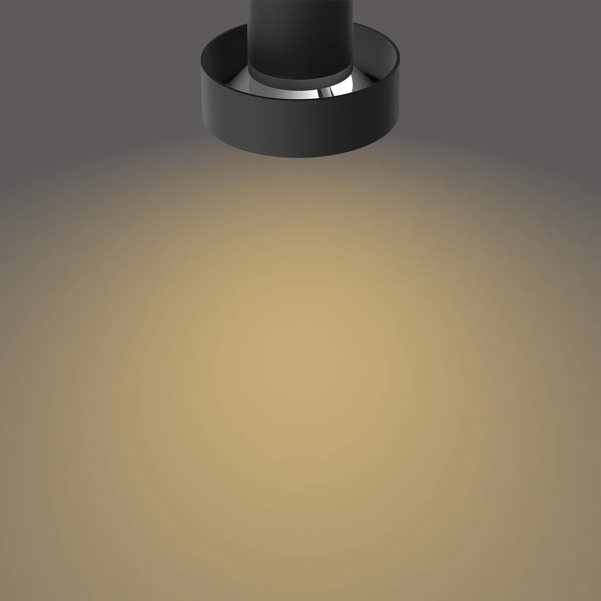 Philips Bukko Opbouwspot LED SceneSwitch 4,3W - 430 Lumen - Zwart - afbeelding 6 van 6