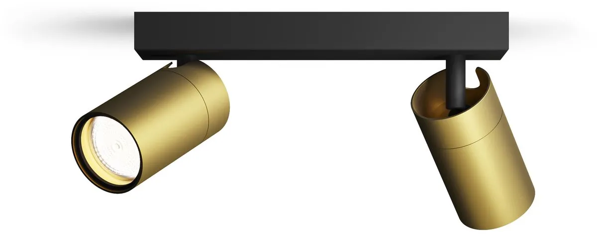 Philips Idris Opbouwspot GU10 2x4.8W - Zwart/Goud
