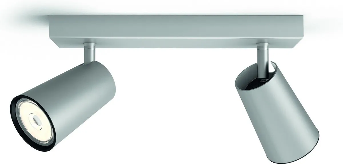 Philips Paisley Opbouwspot 2-lichts