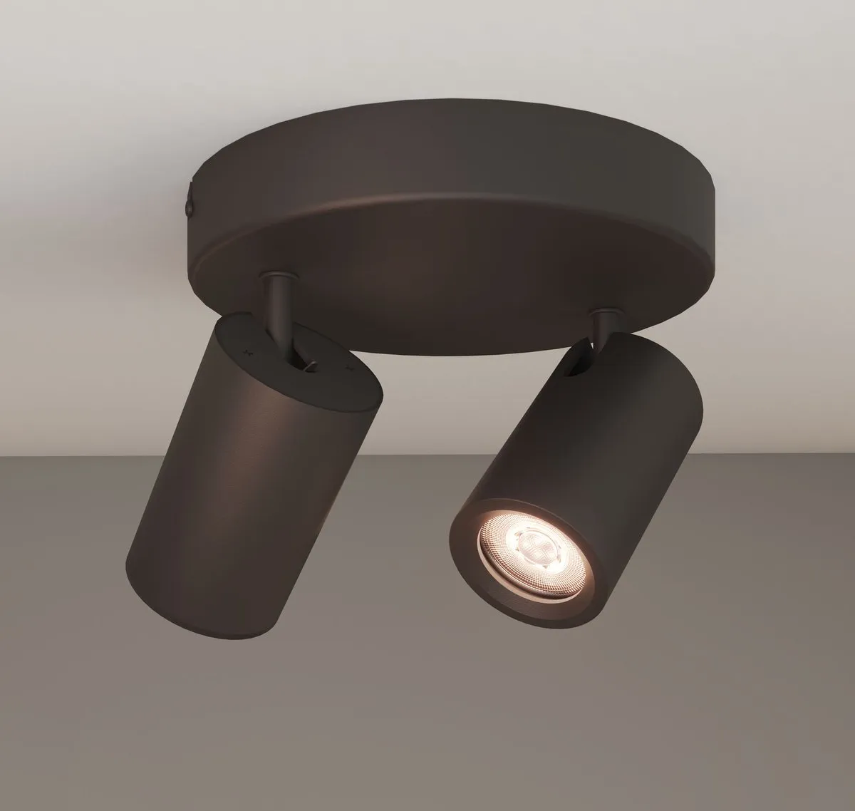 Ledvion LED Plafondspot 2-lichts GU10 - Zwart