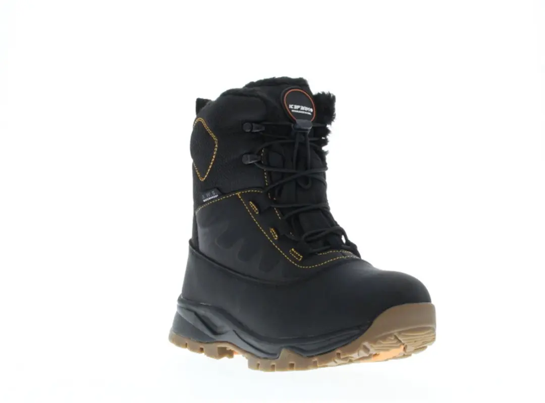 ICEPEAK