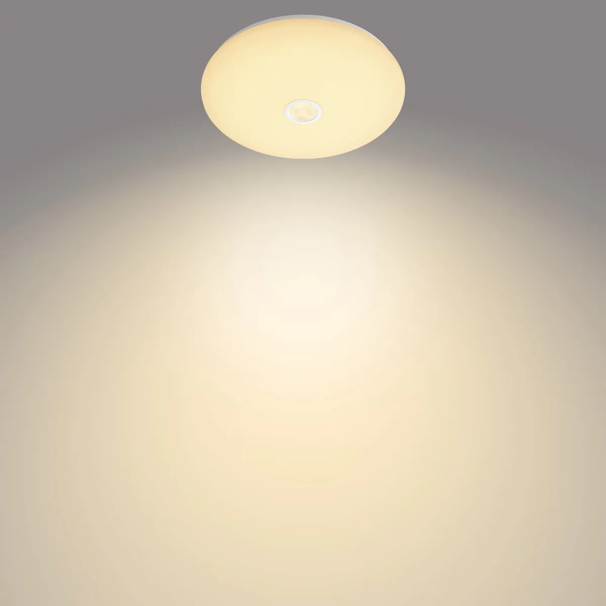 Philips Mauve Plafondlamp 32cm - Met Sensor - Wit