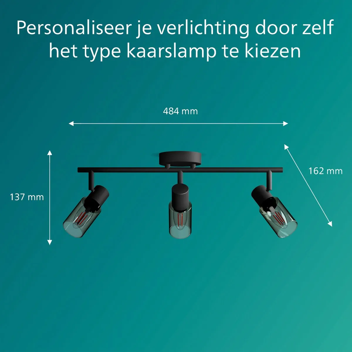 Philips Palms Spot Plafondspot 4x25W - Zwart