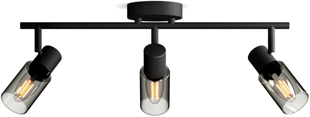 Philips Palms Spot Plafondspot 4x25W - Zwart