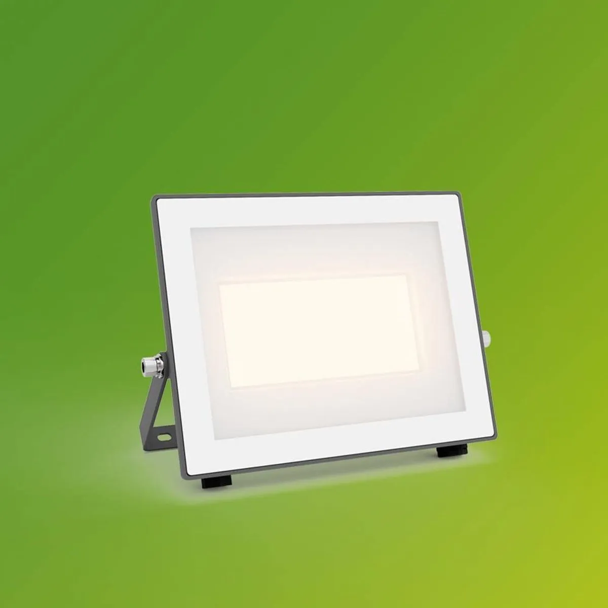 Philips Lois UltraEfficient Floodlight 14W - Zwart