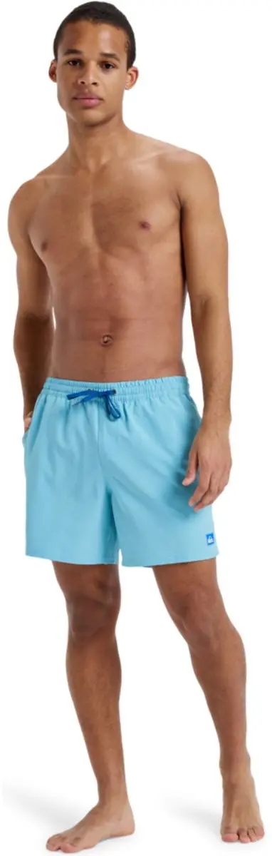Quiksilver Heren Surfsilk Solid Volley Korte Broek M - Multicolor