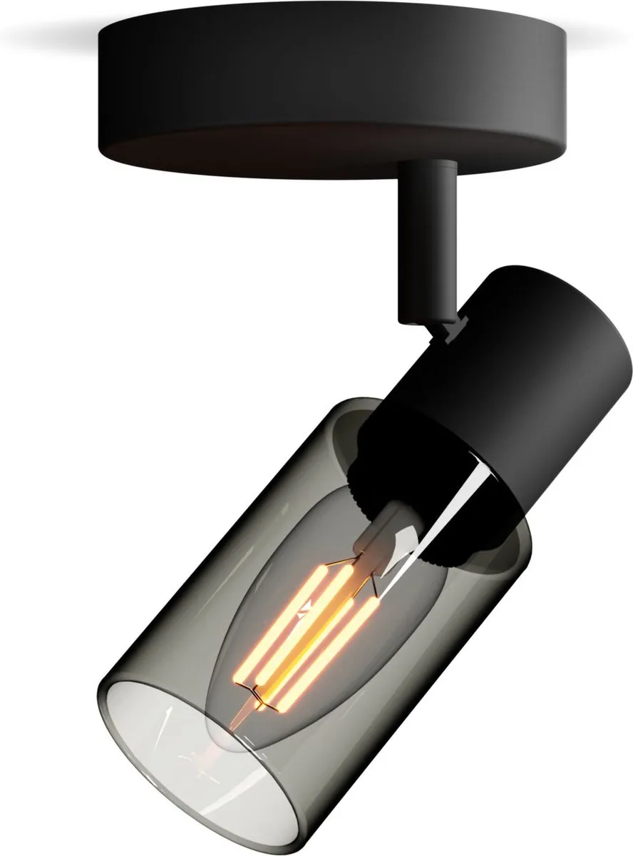 Philips Palms Spot Wandspot E14 - 4x25W - Zwart