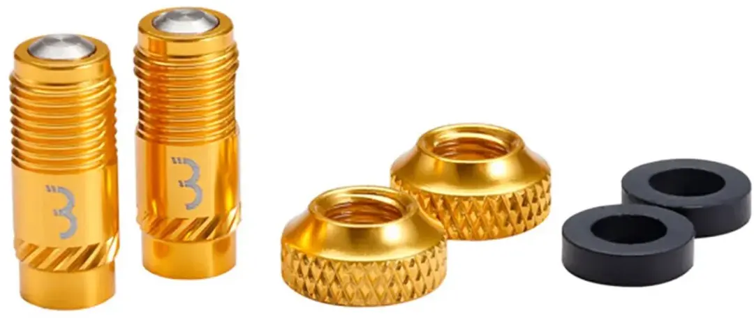 BBB CoreCap BTI-165 Ventiel Upgrade Set - 2 Stuks - Goud