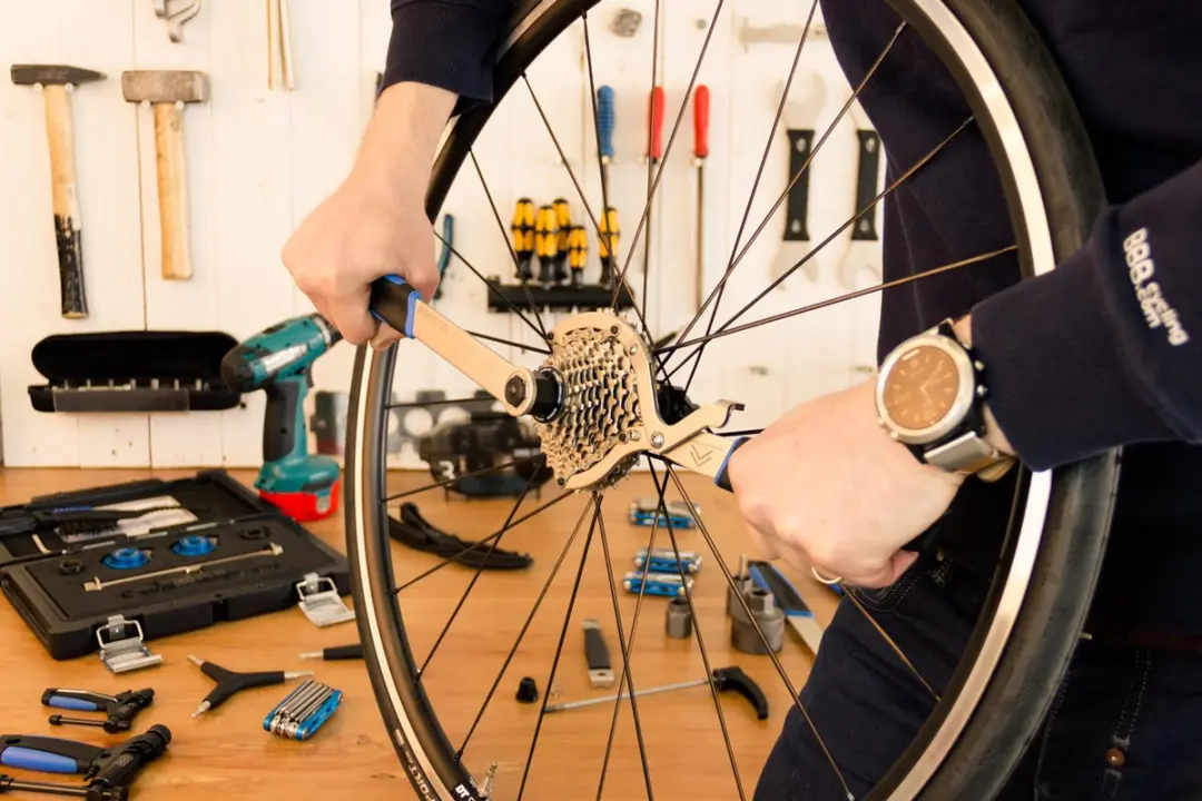 BBB Cycling BTL-12C Campagnolo Cassette Afnemer - 29cm