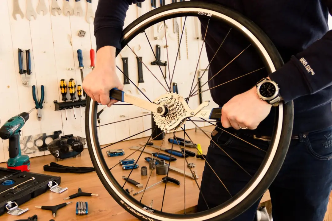 BBB Cycling BTL-12C Campagnolo Cassette Afnemer - 29cm