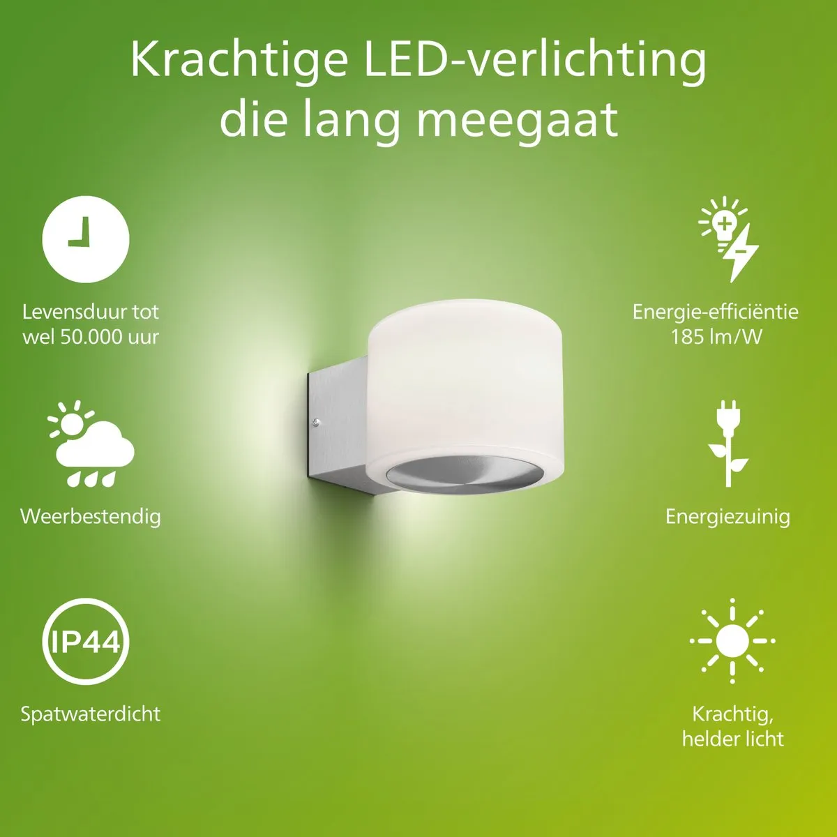 Philips Otis Wandlamp - UltraEfficient LED - Buitenlamp - 4.3W - Warmwit licht; 2700K - Roestvast staal - Opaal lichtelement