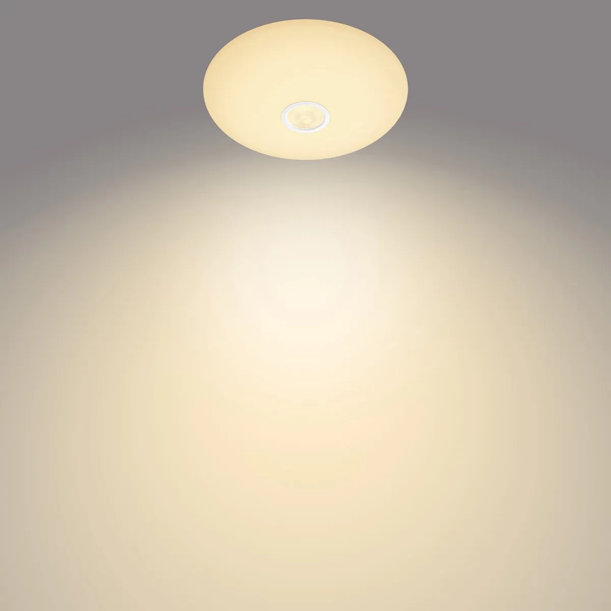Philips Mauve Plafondlamp 25cm - Warm Wit - Met Sensor - afbeelding 6 van 6