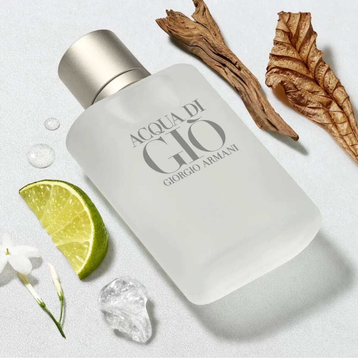 Armani Acqua di Gio Herenparfum 100ml