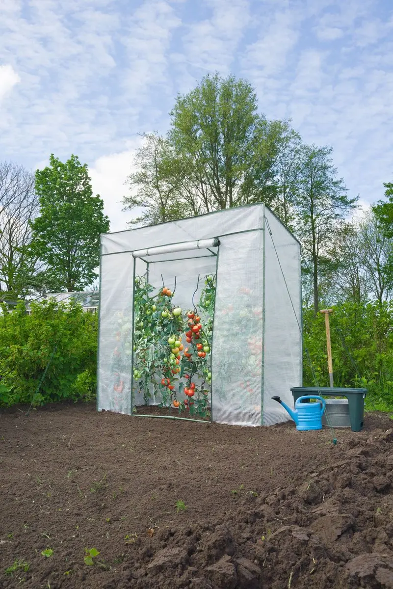 Nature Tomatentuinkas H200x198x78cm - Transparent - afbeelding 6 van 6