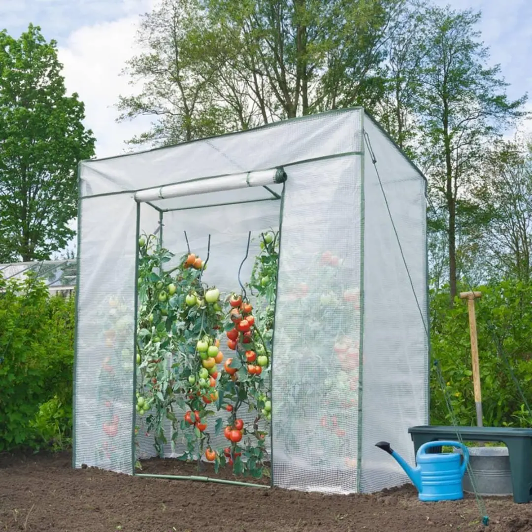 Nature Tomatentuinkas H200x198x78cm - Transparent - afbeelding 3 van 6