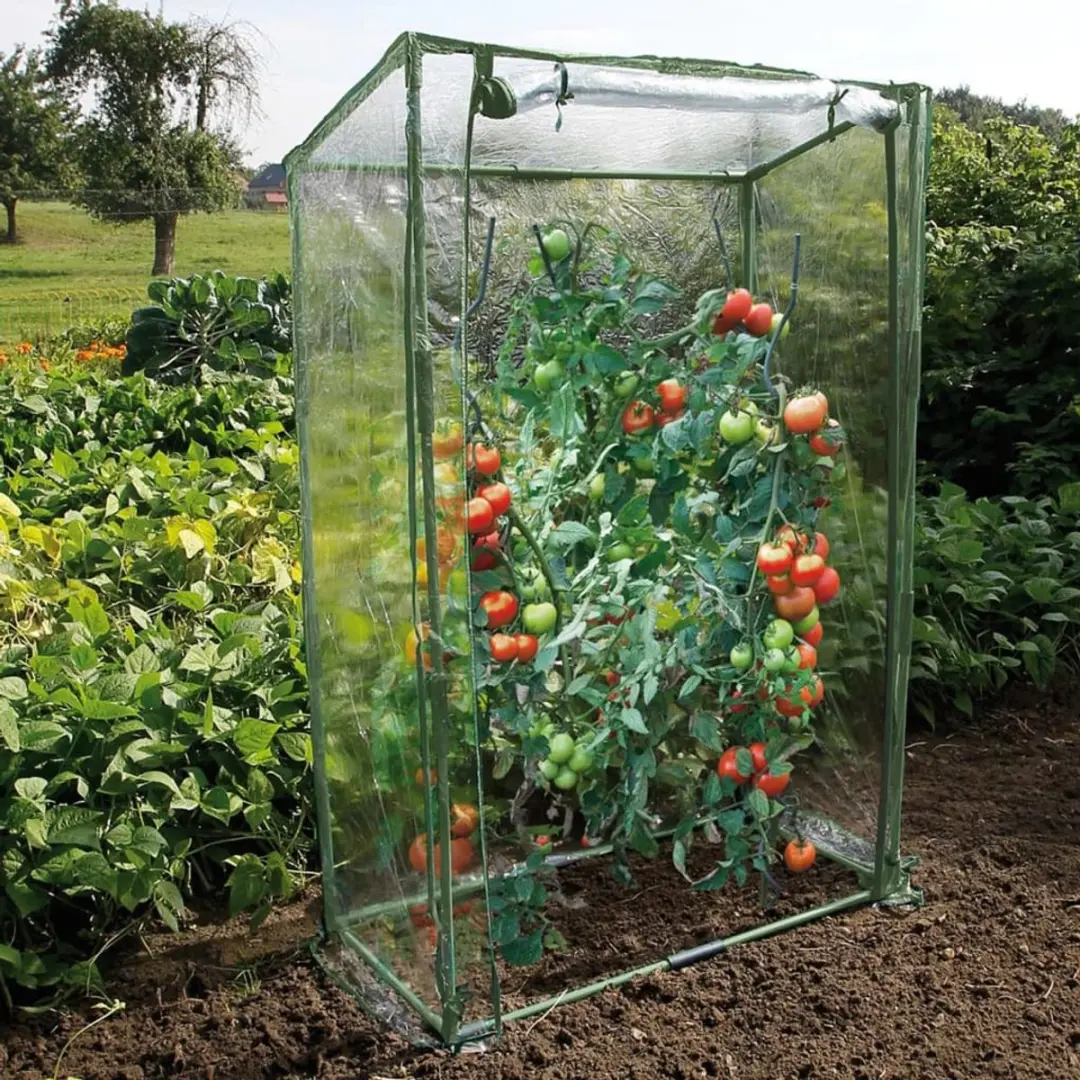 Nature Tomatentuinkas 150x100x50cm - Transparant - afbeelding 2 van 6