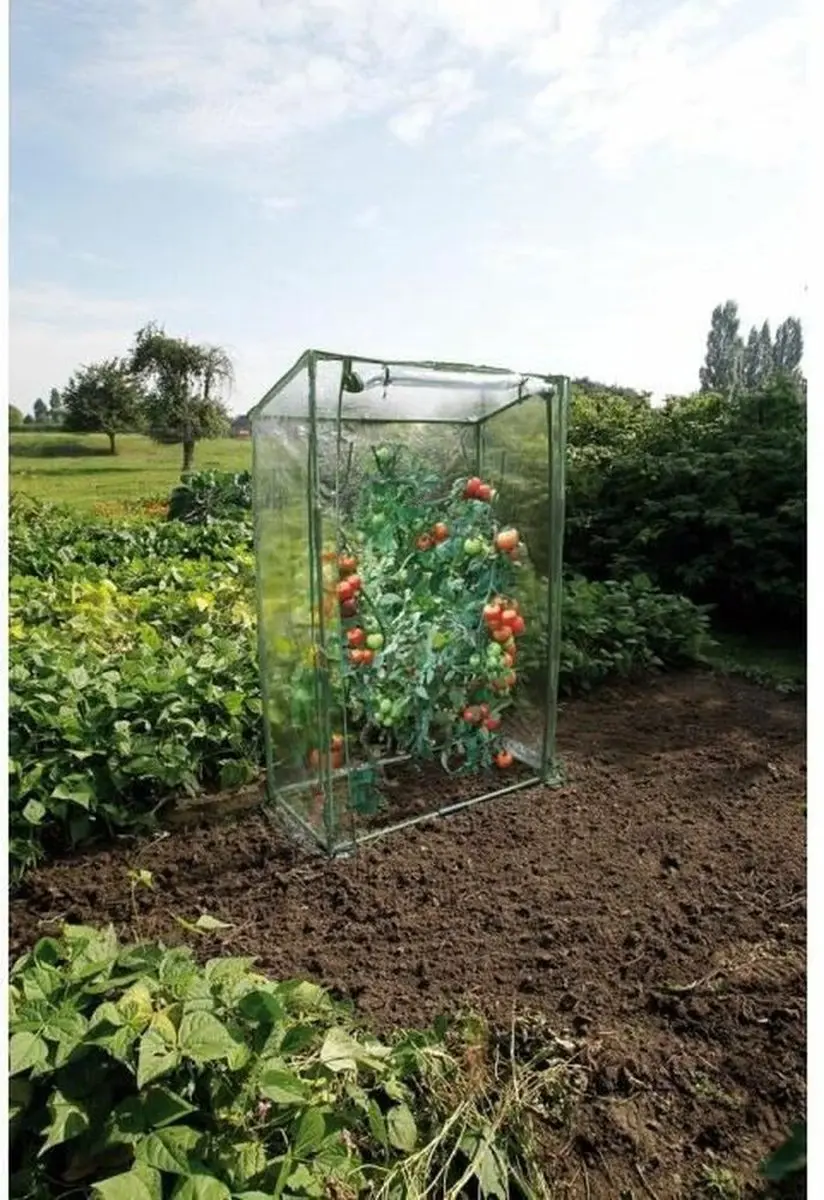 Nature Tomatentuinkas 150x100x50cm - Transparant - afbeelding 3 van 6