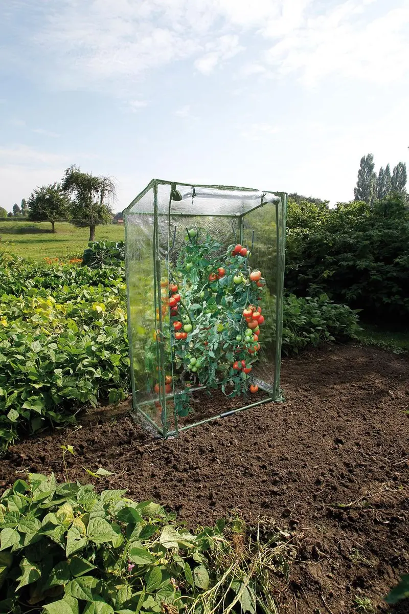 Nature Tomatentuinkas 150x100x50cm - Transparant - afbeelding 5 van 6