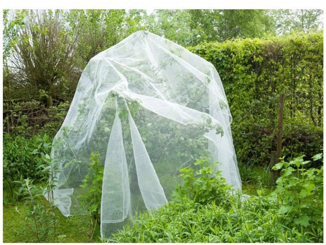 Nature Anti-insectennet 5,2x5m - 3x6mm - 60g/m² - afbeelding 4 van 6