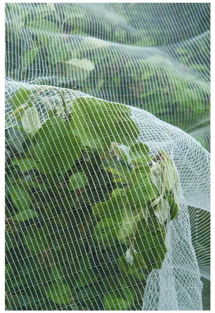 Nature Anti-insectennet 5,2x5m - 3x6mm - 60g/m² - afbeelding 5 van 6