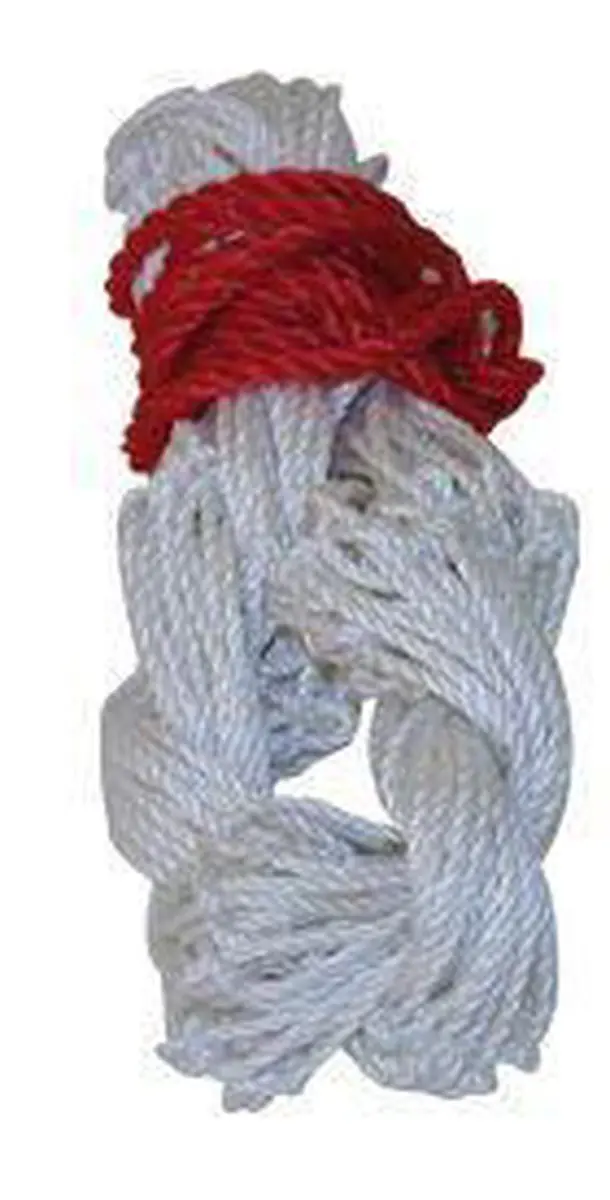 Ballennet voor 2 Ballen