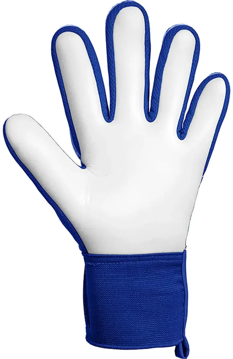 Reusch Attrakt Starter Solid Keepershandschoenen 10 - Blauw/Oranje/Wit