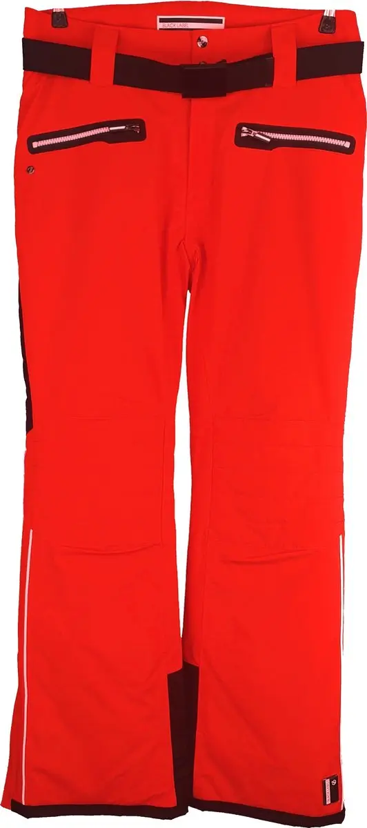 Dare2B Heren Stand Out II Skibroek Trail Blaze Maat M