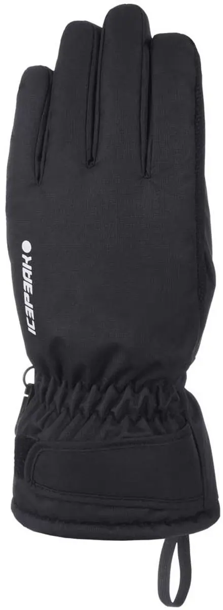 Icepeak Hayden I Handschoenen Zwart XS