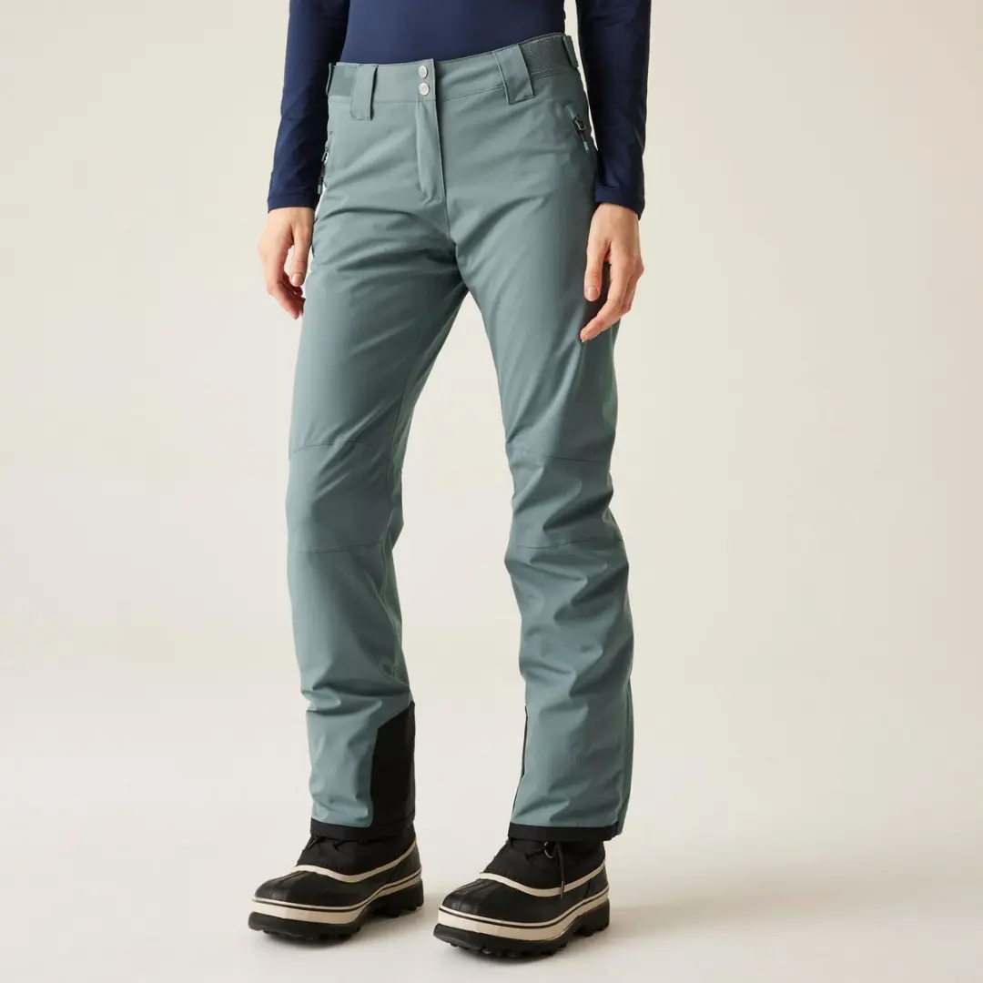 Dare 2b Diminish Women's Ski Pant