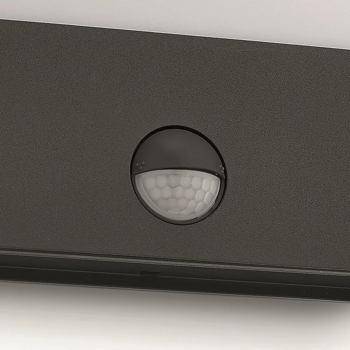 Philips Raccoon buitenwandlamp - met sensor - 1-lichts - antraciet