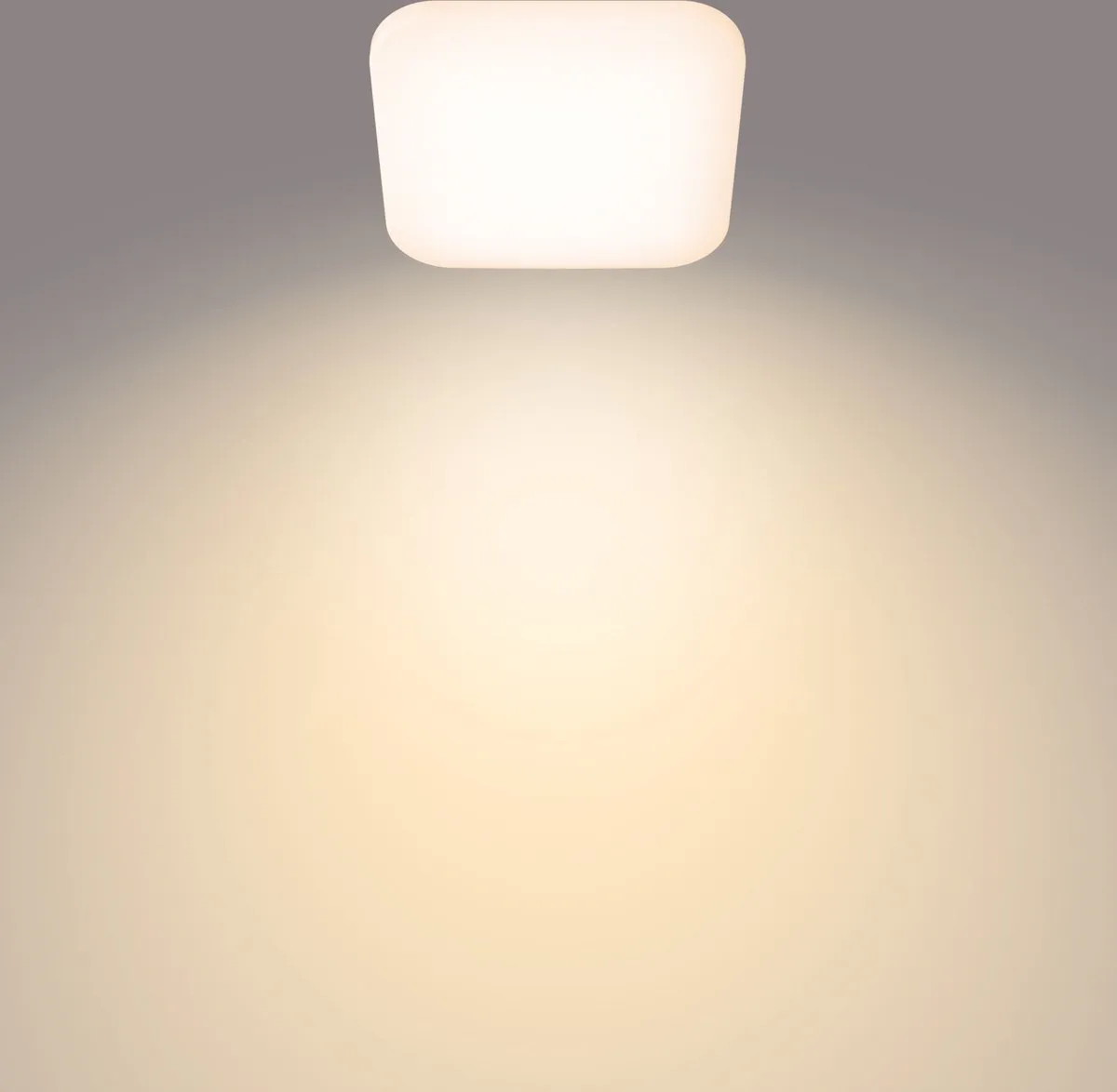 Philips Mauve Plafondlamp 2700K 12W - Ø26cm