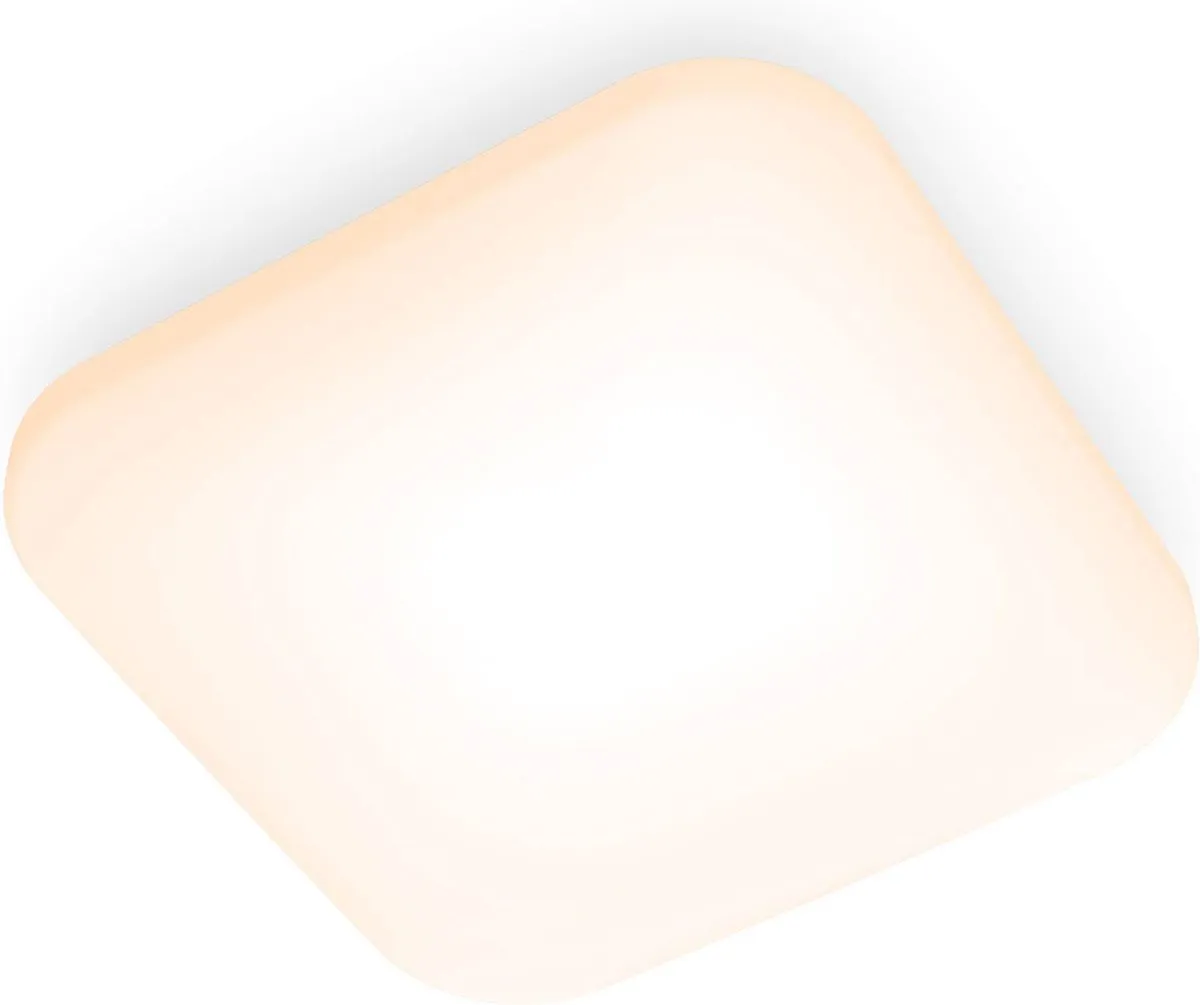 Philips Mauve Plafondlamp 2700K 12W - Ø26cm
