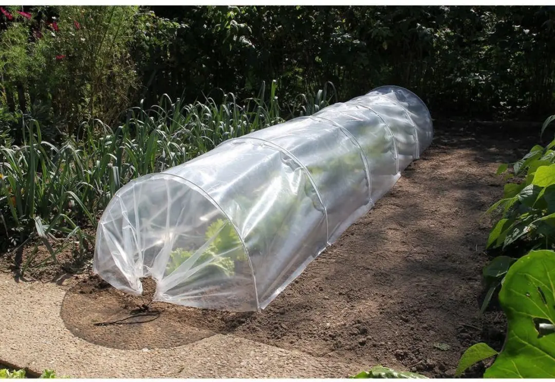 Nature Tuintunnelset 2-in-1 Folie + Net 45x60x300cm
