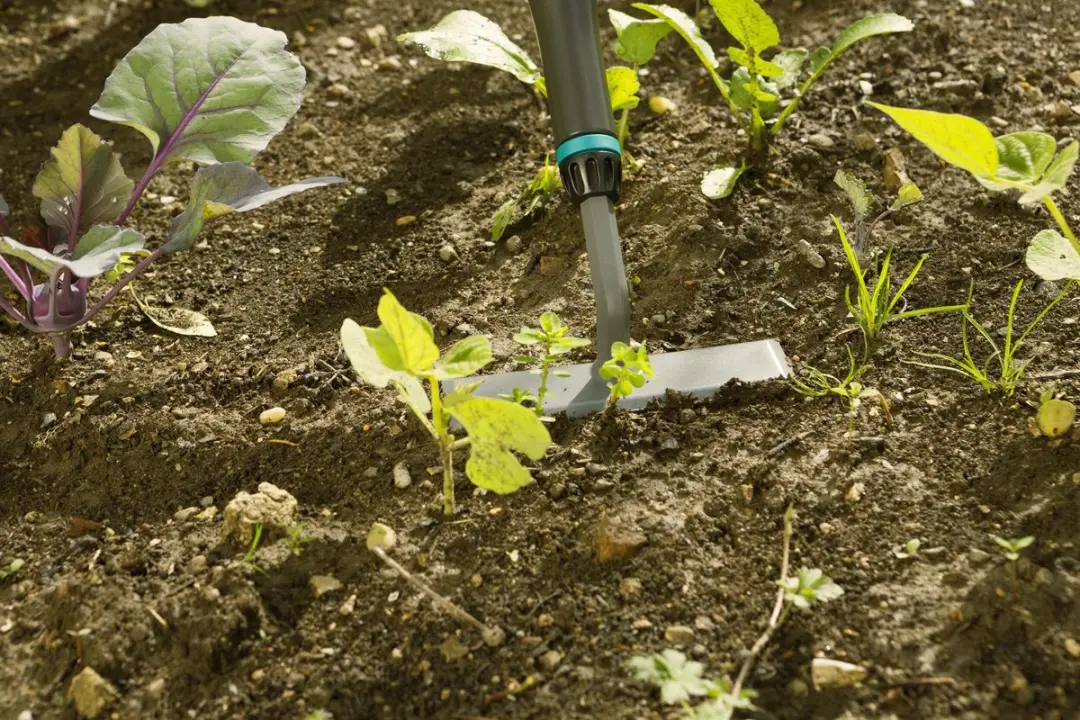 Gardena PureLine Schoffel FSC 100% - afbeelding 3 van 6
