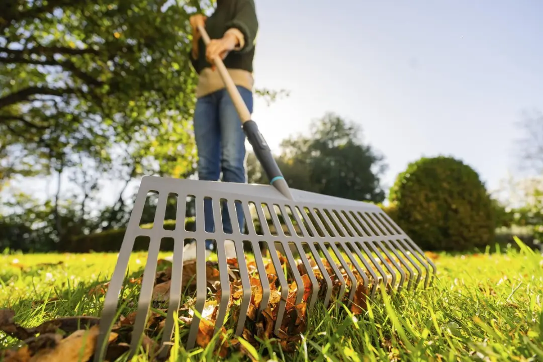 Gardena PureLine Grashark - afbeelding 2 van 6