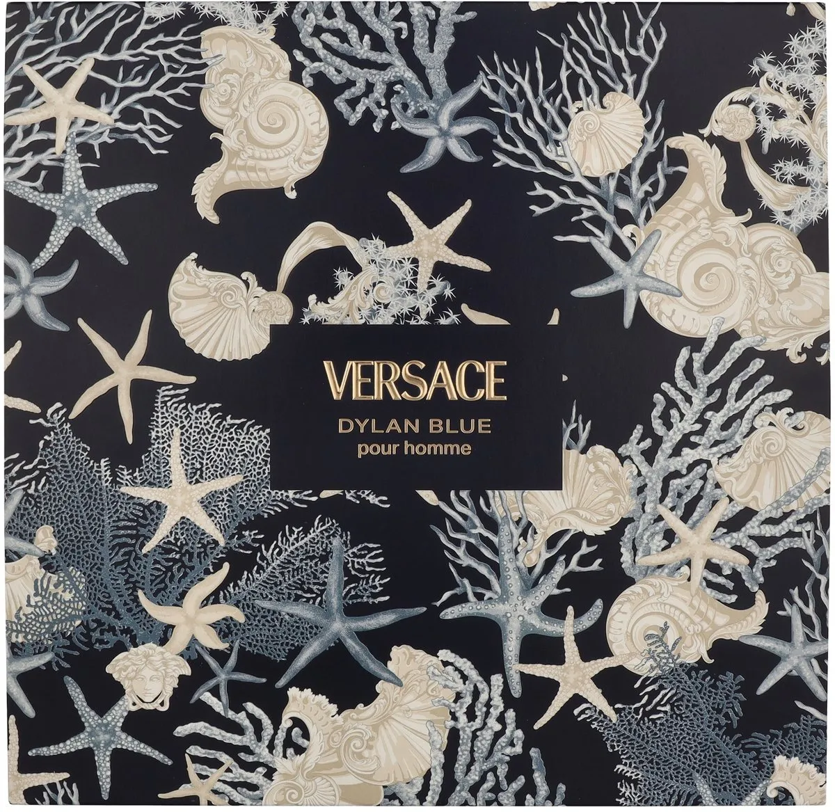 Versace Dylan Blue Geurset
