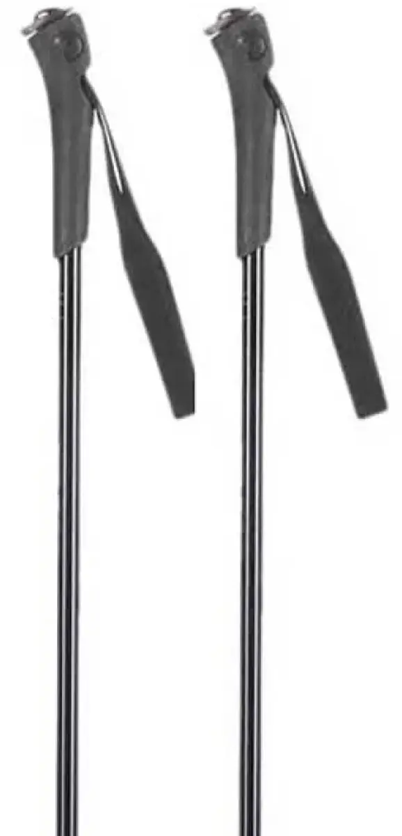Rossignol Ft-501 Junior Stokken Zilver 80 cm Kinderen