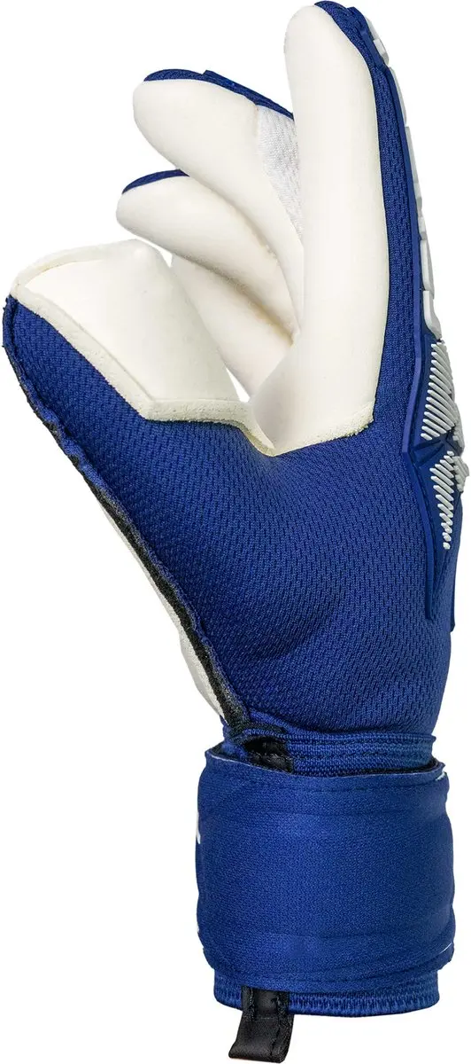 Reusch Torwarthandschuhe Attrakt Freegel Gold X Jr 4 - Blauw-wit